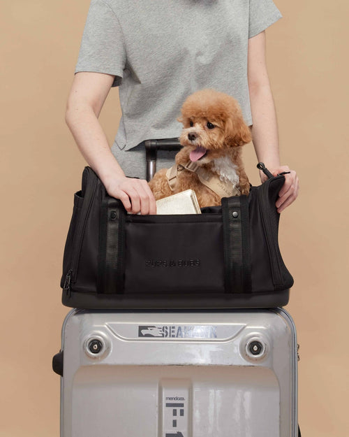 Durable dog carrier designed for smooth travel experiences, combining function and comfort, ideal for pugs, dachshunds, and cockapoos