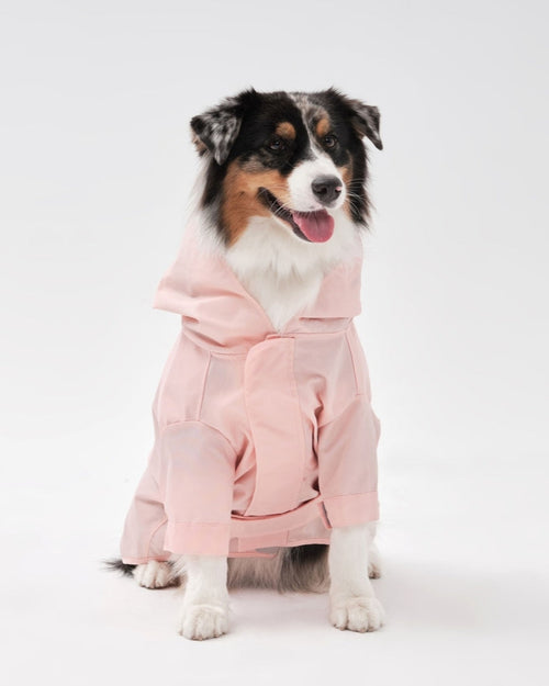Pink dog rain jacket with hood, protective and comfortable for wet weather.
