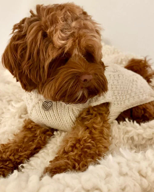 Cabin Cutie Ivory Cable Knit Dog Sweater