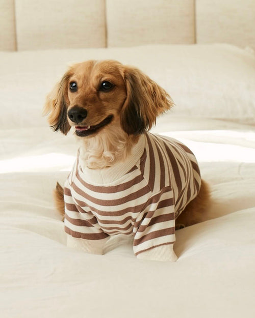 Camden Brown Striped Crewneck Product Image Detail