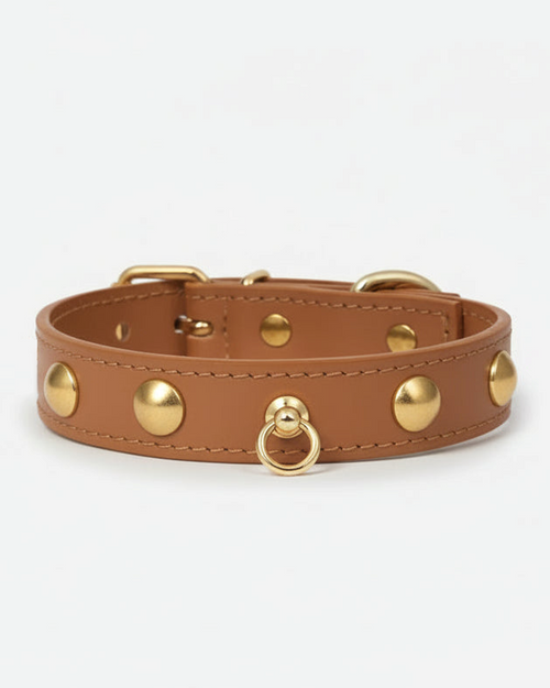 camel leather dog collar with studs, stylish and durable pet accessory