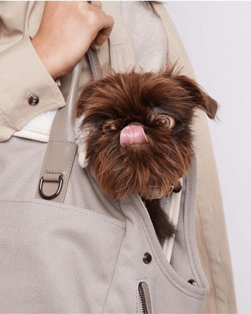 Maxbone City Carrier in Grey Product Image Detail