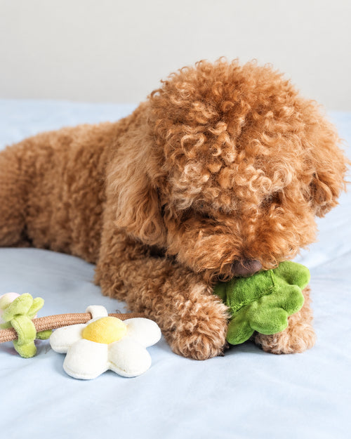Off the Vine Strawberry Snuffle Rope Toy