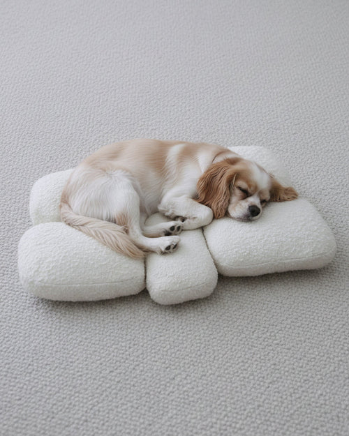 Pebble Boucle Small Dog Bed