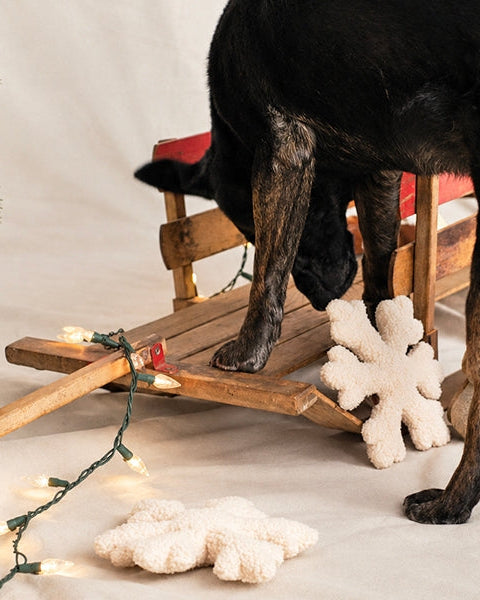 Snow Day Snowflake Plush Dog Toy