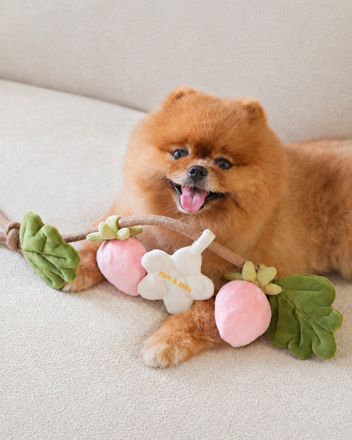 Off the Vine Strawberry Snuffle Rope Toy