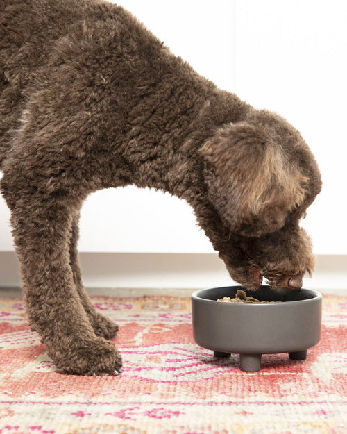 Treat Yourself Vintage Grey Ceramic Dog Bowl