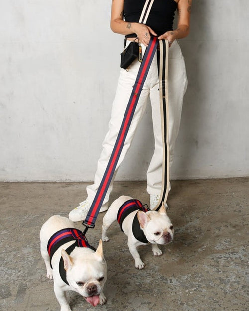 Woven to withstand any type of pup, the handle features deluxe neoprene padding, keeping your hold comfy and secure so your pet stays by your side. Modern black accents and a signature gold rose complete the look.