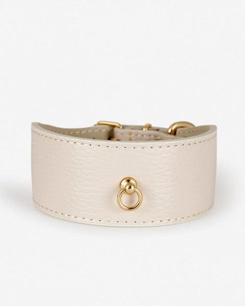 Front view of Roma ivory leather dog collar, wide design for medium to large dogs