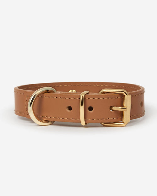 adjustable camel leather dog collar, premium accessory with clean design