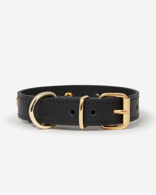 Back view of Nara black leather dog collar with star studs, secure and stylish