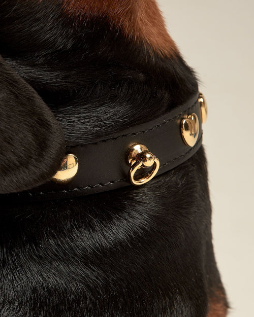 detailed studded dog collar with gold accents, luxury leather pet accessory