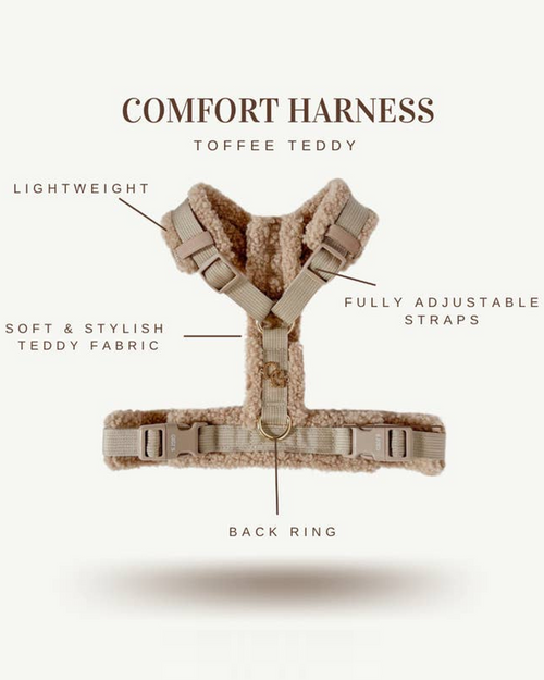 On Cloud K-9 Toffee Teddy Dog Harness