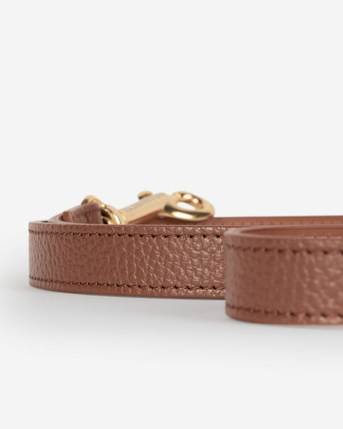 Close-up of chocolate leather dog leash, high-quality craftsmanship, secure handle