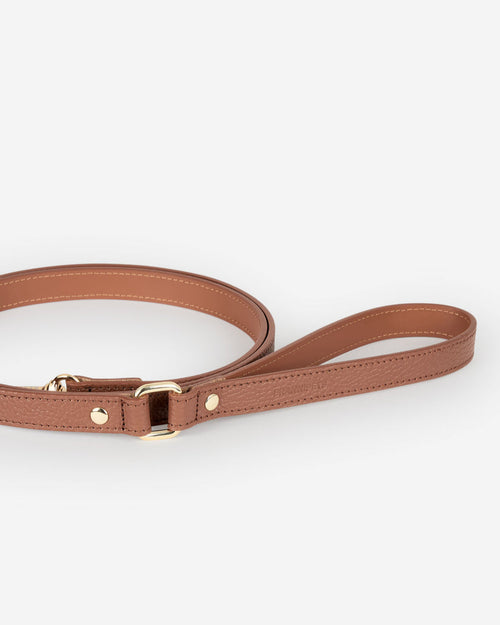 Chocolate brown leather dog leash showing detailed handle, stylish and durable