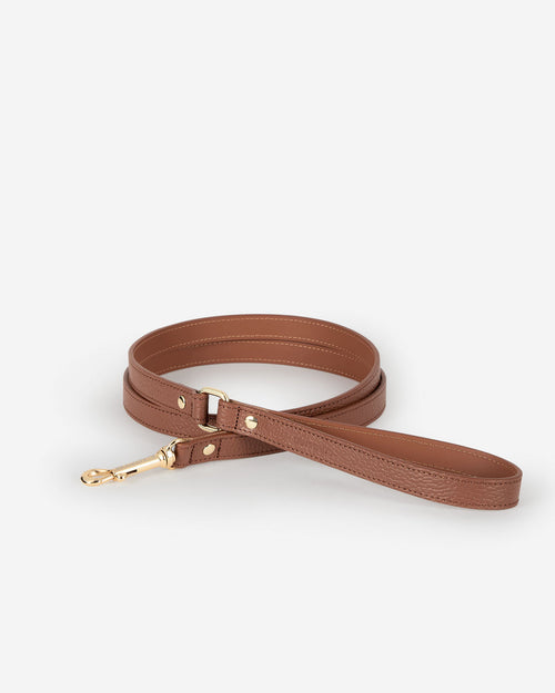 Chocolate brown leather dog leash, durable and stylish, ideal for everyday walks