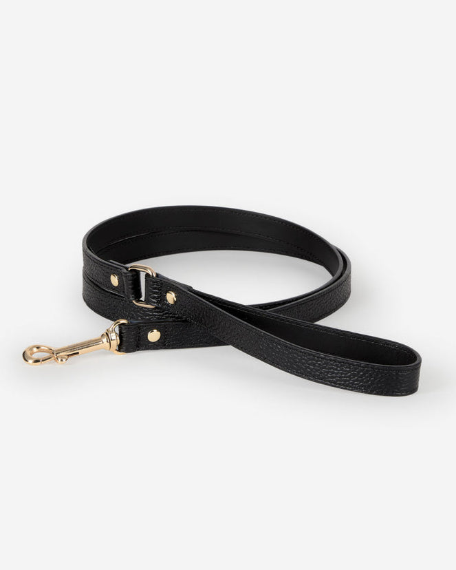 Luca Harness Black Leather Walk Kit