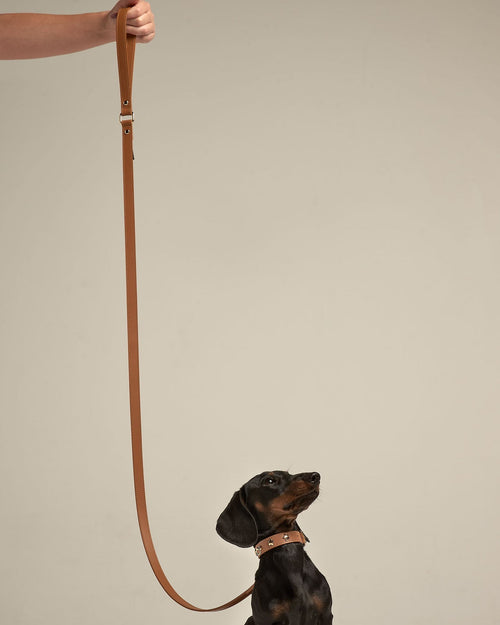 Studio shot of camel-colored leather dog leash showing smooth finish, secure hardware, and durable design