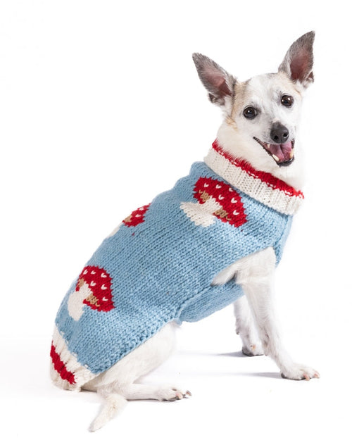 Forest Floof Mushroom Knit Dog Sweater
