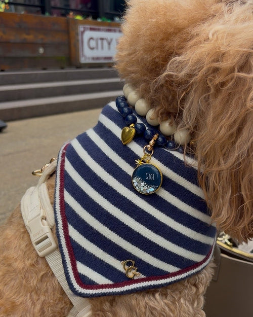 Rhodes Reversible Navy Dog Bandana