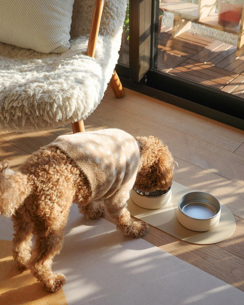 Supper Club Dog Mealtime Kit: Bowl Set + Placemats