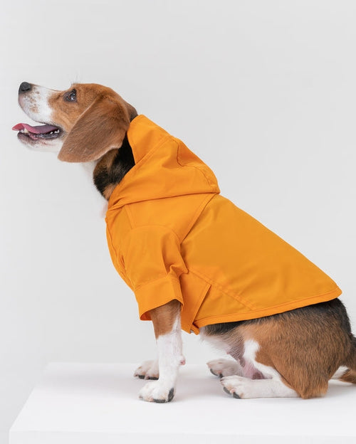 Make A Splash Yellow Rain Jacket