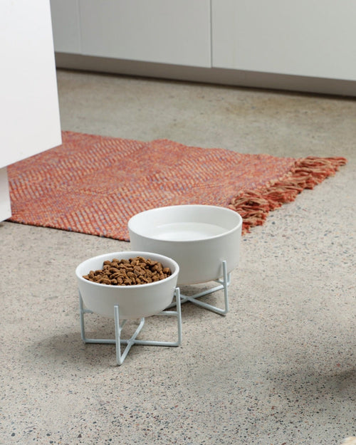 Bone Appétit White Elevated Dog Bowl