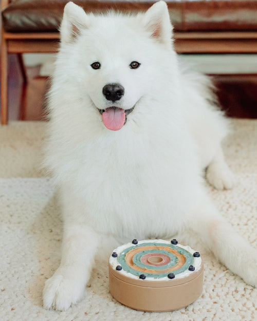 non slip slow feeder dog bowl with interactive design, easy clean feeding solution