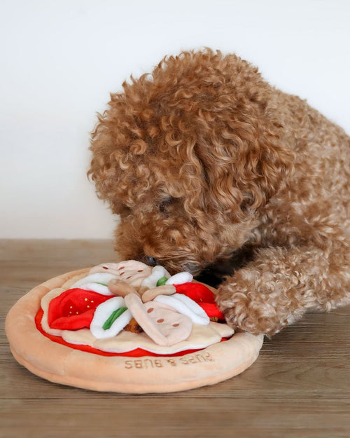 Pizza My Heart Snuffle Mat Dog Toy
