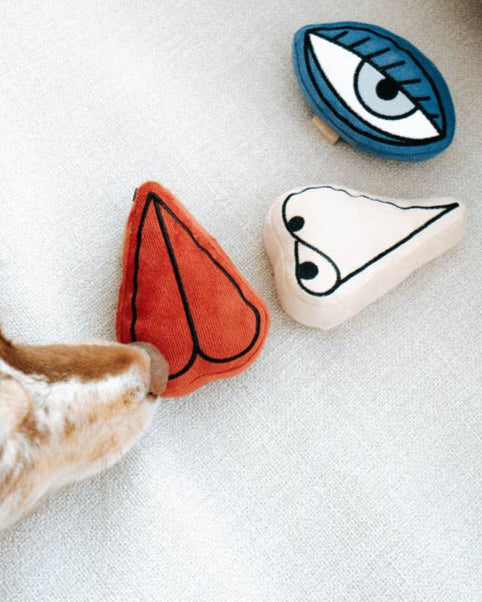 Pup-casso Snuffle Dog Toy Set