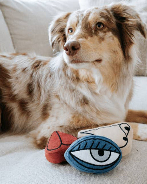 Pup-casso Snuffle Dog Toy Set