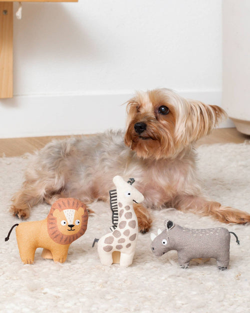 The Wild Bunch Mini Dog Toy Set