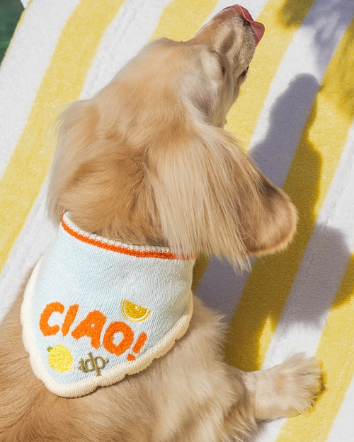 Ciao Bella Dog Bandana