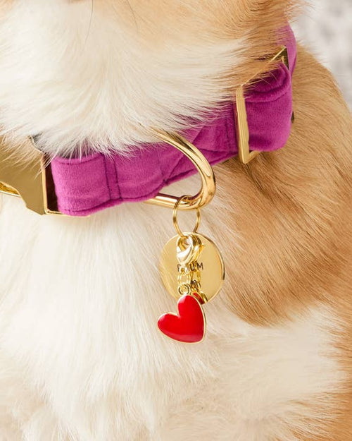 Red Heart Collar Charm
