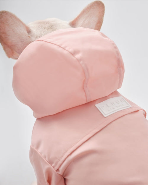 Small dog in vibrant pink rain jacket with hood for rainy season walks.