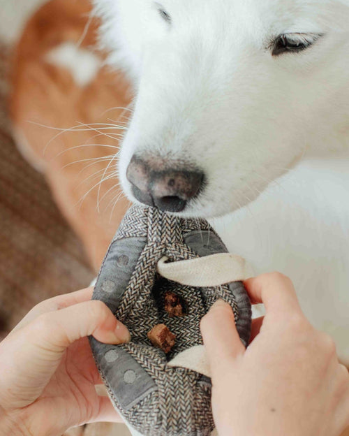 Cassette Tape Dog Toy - Vintage-inspired squeaky toy for dogs who love to chew and play!