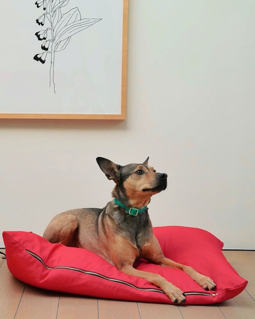 Red Dog Bed