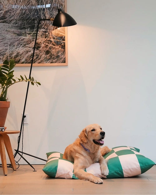 Green Check Dog Bed