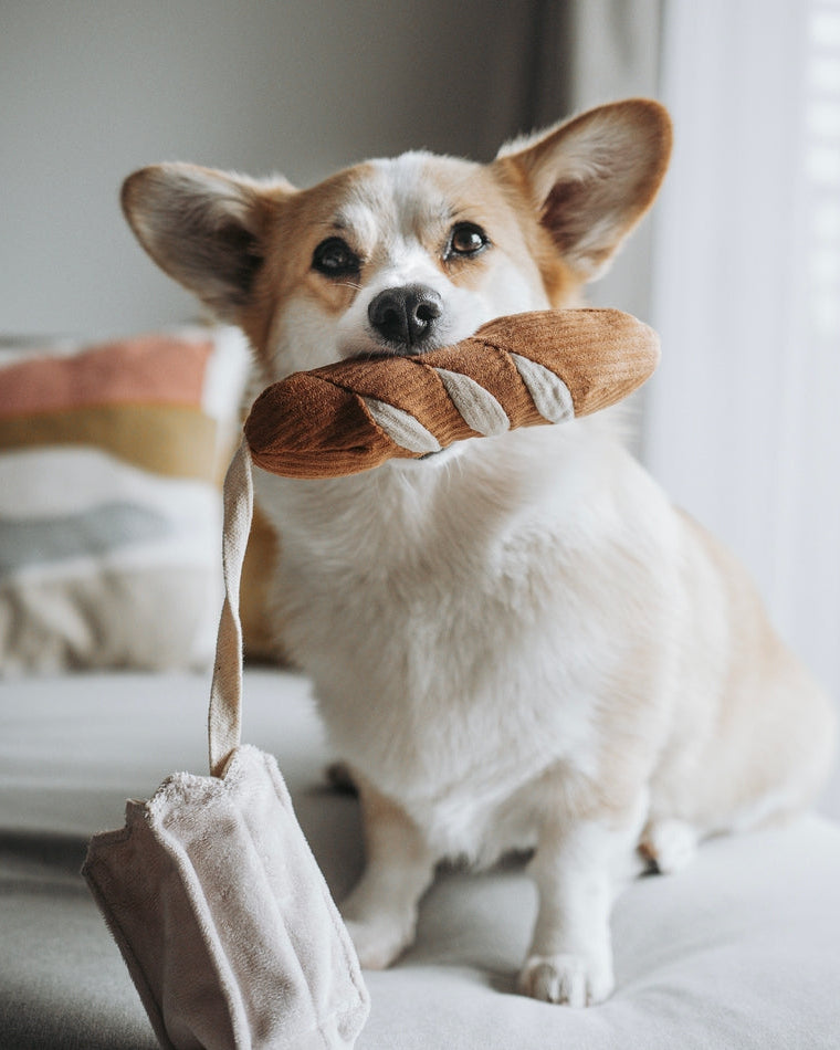 Mini Can't Baguette Enough Dog Toy