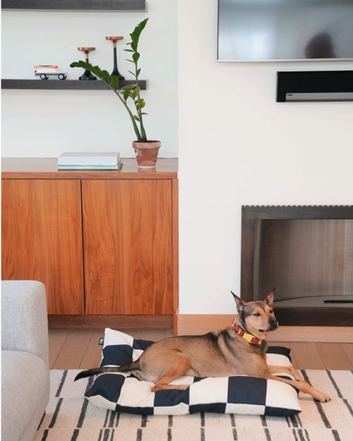 Large Checkered Black and White Dog Bed