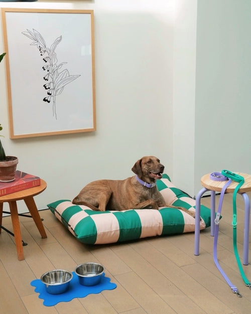 Green Check Dog Bed