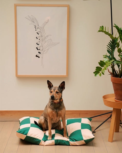 Green Check Dog Bed