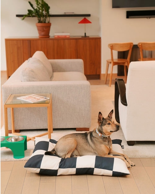 Large Checkered Black and White Dog Bed