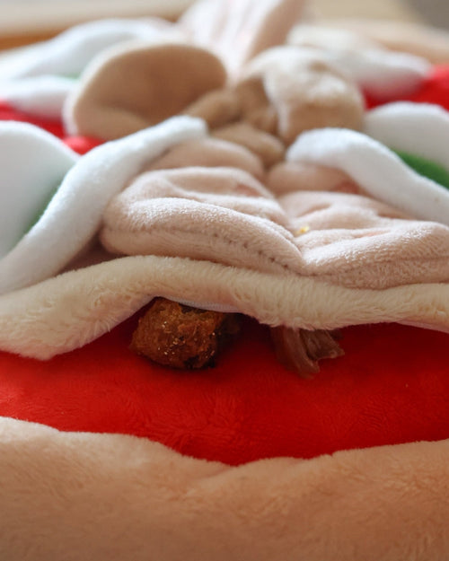 Pizza My Heart Snuffle Mat Dog Toy