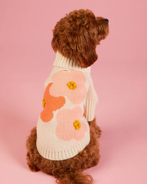 In Bloom Spring Dog Sweater by Foggy Dog  image. dog sweaters for standard poodles 