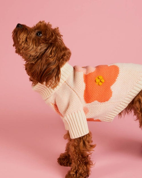 In Bloom Spring Dog Sweater by Foggy Dog  image. pug sweaters for humans 