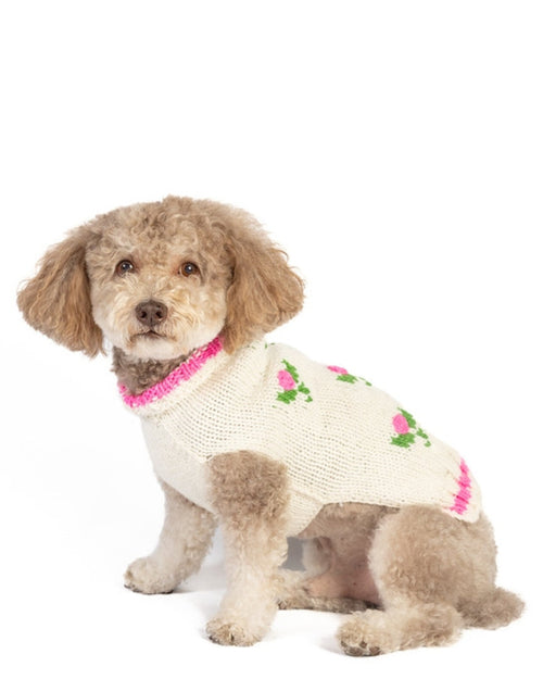 Fur-get Me Not Floral Knit Dog Sweater