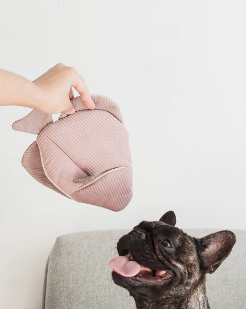 purple and pink corduroy fish dog toy with removable plush fish skeleton