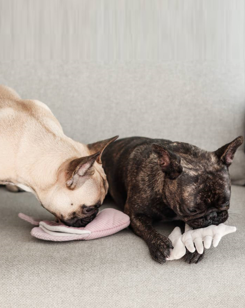 purple and pink corduroy fish dog toy with removable plush fish skeleton