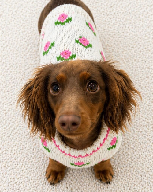 Fur-get Me Not Floral Knit Dog Sweater